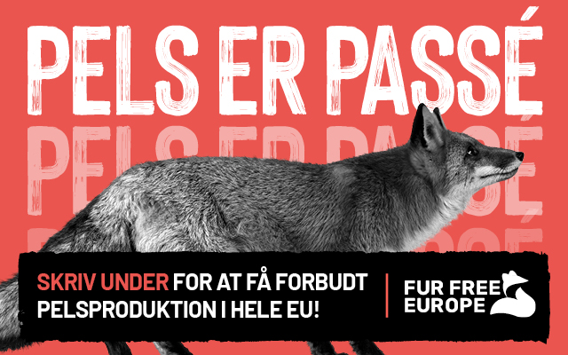 LAD OS GØRE EUROPA PELSFRI – SKRIV UNDER PÅ EU BORGERINITIATIV!