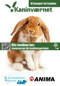 Vi kæmper for kaniner