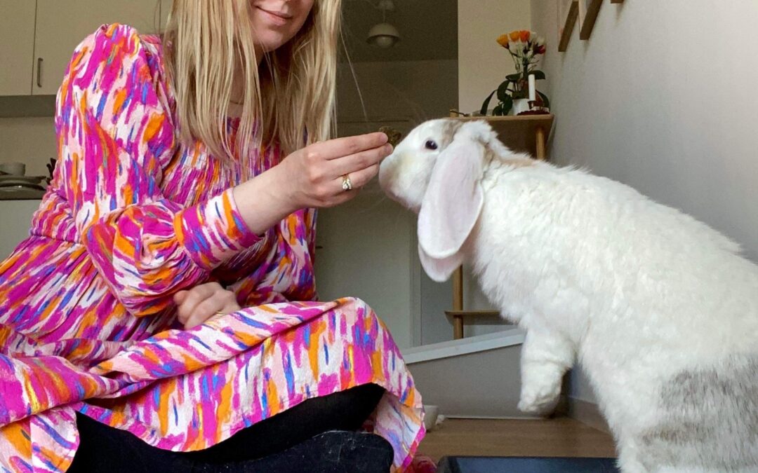 FERIETEMA! MIRA PASSER KANINER FOR ANDRE