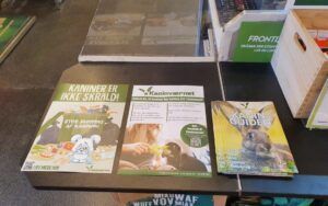 Flyers omkring kaniner