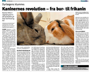 kanin klumme Furesø Avis