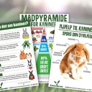 plakatpakke til dyrlæger om kaniner