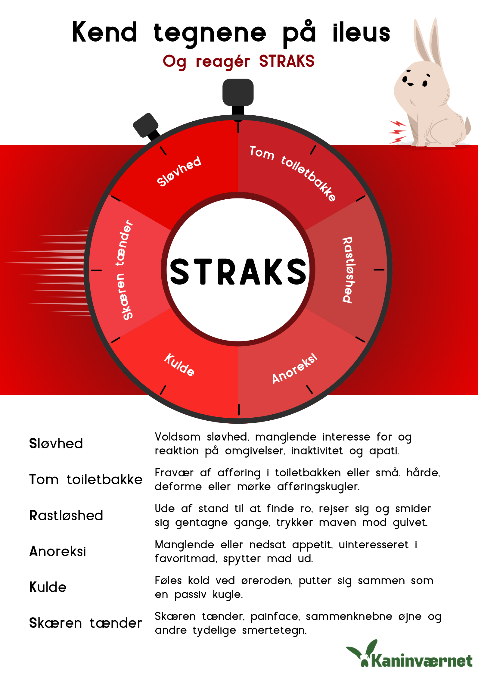 FORSTÅ SYMPTOMERNE PÅ ILEUS (TARMSTOP)