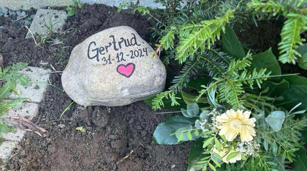 CHIP OG GERTRUDS SØRGELIGE FARVEL NYTÅRSAFTEN