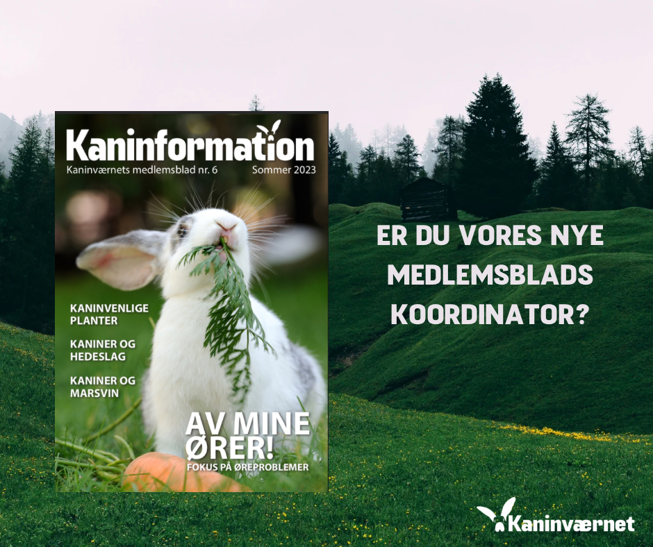 KANINVÆRNET LEDER MED LYS OG PANDELYGTE EFTER EN MEDLEMSBLADSKOORDINATOR & SKRIBENTER – ER DET DIG?