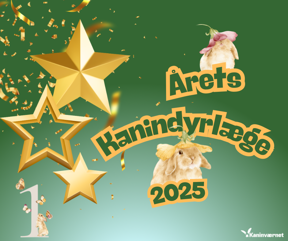 KÅRING AF ÅRETS KANINDYRLÆGE 2025🥇
