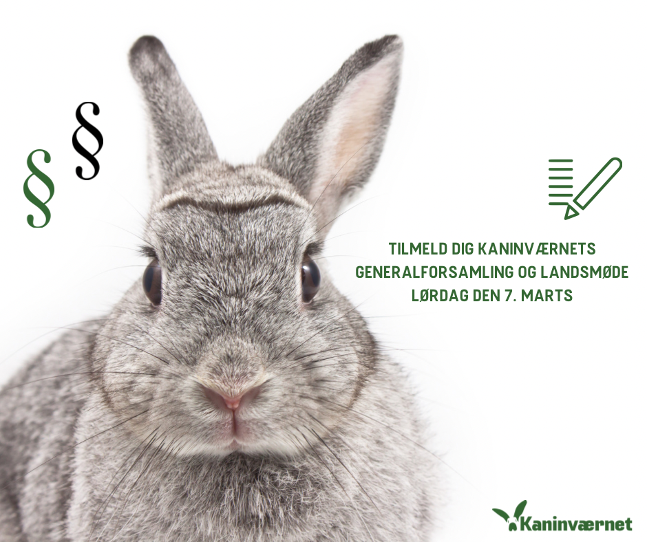 KANINVÆRNET AFHOLDER GENERALFORSAMLING OG LANDSMØDE – SKAL DU MED?