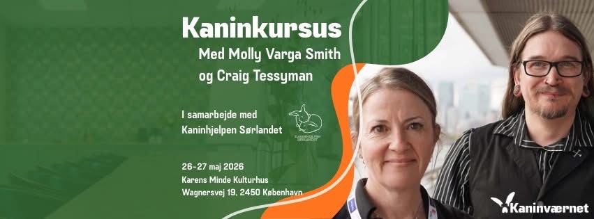 KANINKURSUS MED MOLLY VARGA